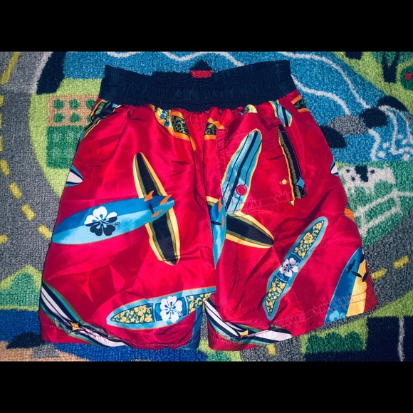 Gymboree 2-Piece Swim Set – Shorts & Long Sleeve Swimsuit - Picture 6 of 7